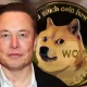 After Tesla, Now Elon Musk's SpaceX To Accept Dogecoin For Merchandise Soon