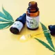 Start Your Morning Feeling More Focused And Refreshed With CBD Oil