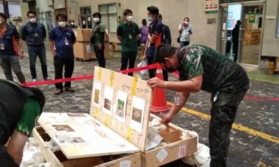 Customs Thailand Seizes Over 600 Wild Animals at Suvarnabhumi Airport