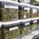 Marijuana Dispensary