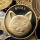 Shiba Inu