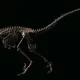 Skeleton Of Dinosaur That Inspired 'Jurassic Park' Sells for $12.4 Million At Christie's