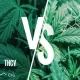 THCV vs THC