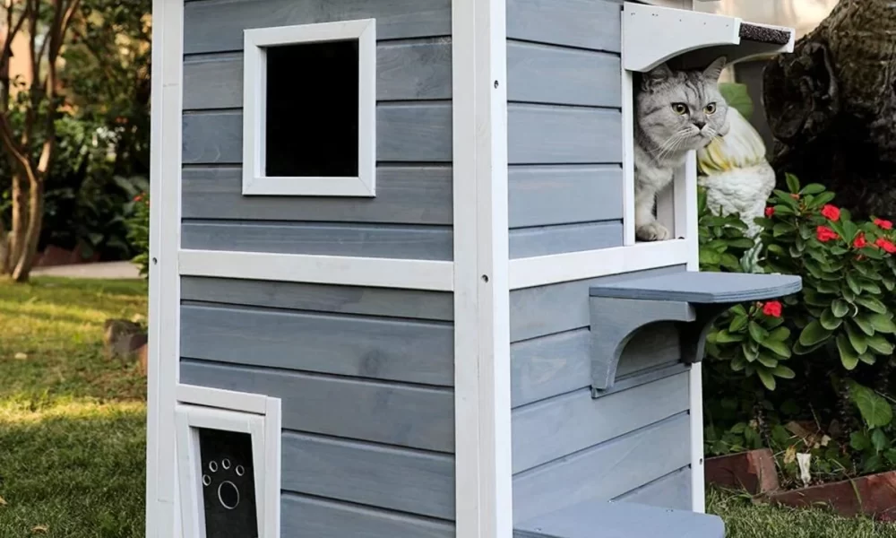 The Most Amazing DIY Cat Houses
