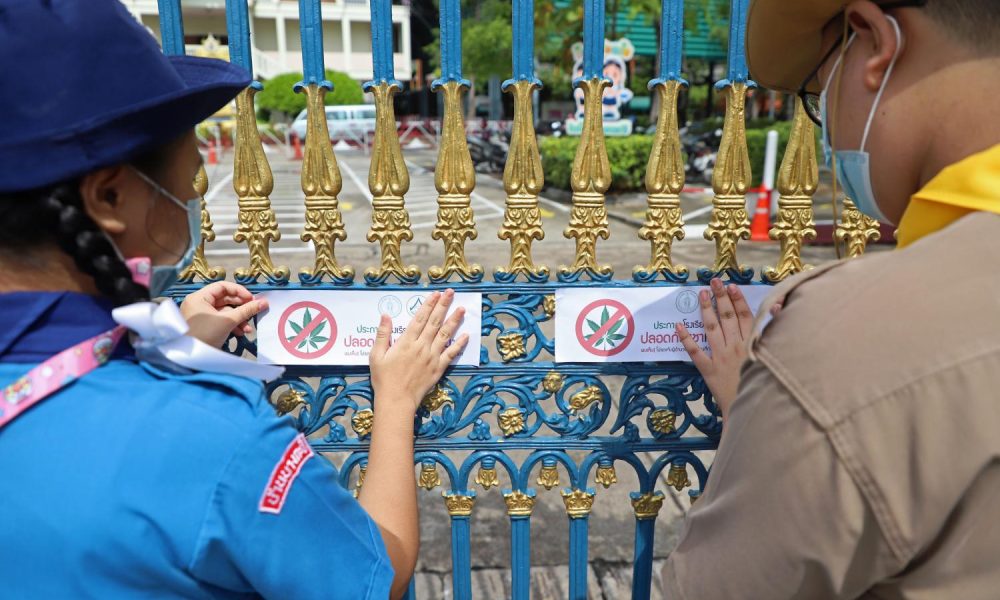 Jail Time for Those Who Sell Cannabis to Minors in Thailand