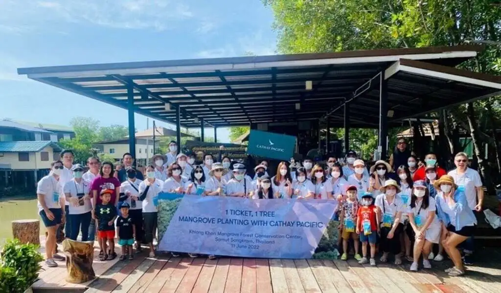 Cathay Pacific Plants 999 Mangrove Trees In Thailand