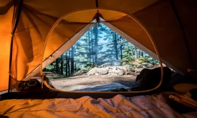 Five Reasons To Go Camping This Summer