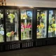 Novachill Leads The Flower Fridge Market