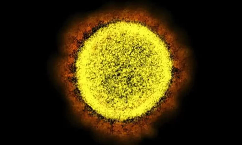 Omicron BA.5 Makes Up 82% Of COVID Variants In US CDC