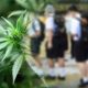 School Investigated after Grade 12 Student Caught Selling Weed