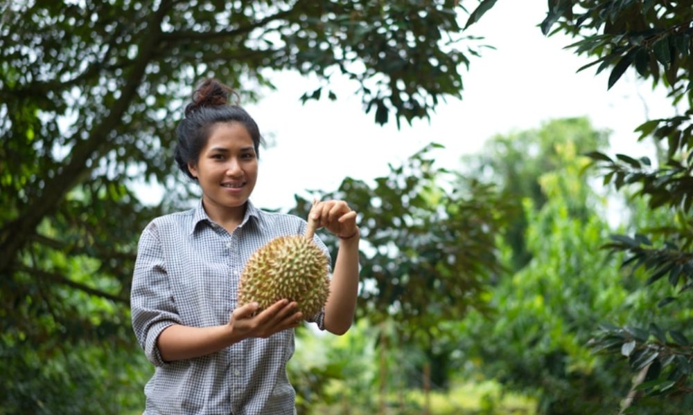 Thailand Creates New "Non-Smelly" Durian