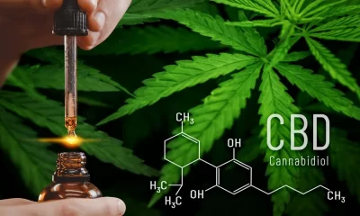 Where to Buy Top CBD Products: Capsules, Oil, And Gummies