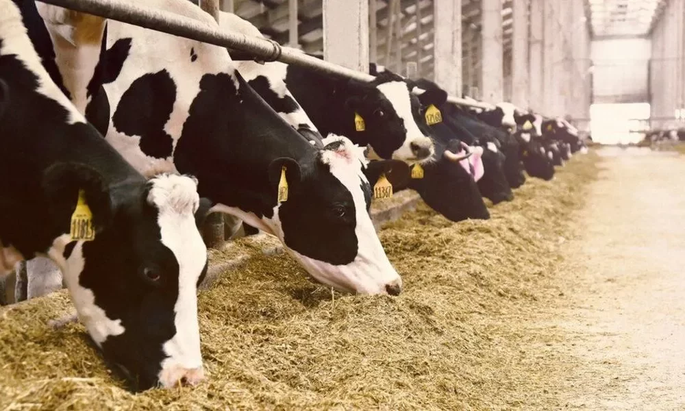 World Bank Authorizes $200m Loan To Promote Agricultural Growth In Pakistan