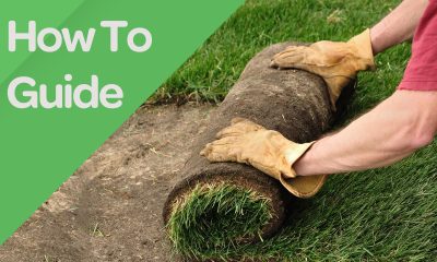 Laying Turf and the Ideal Outcome