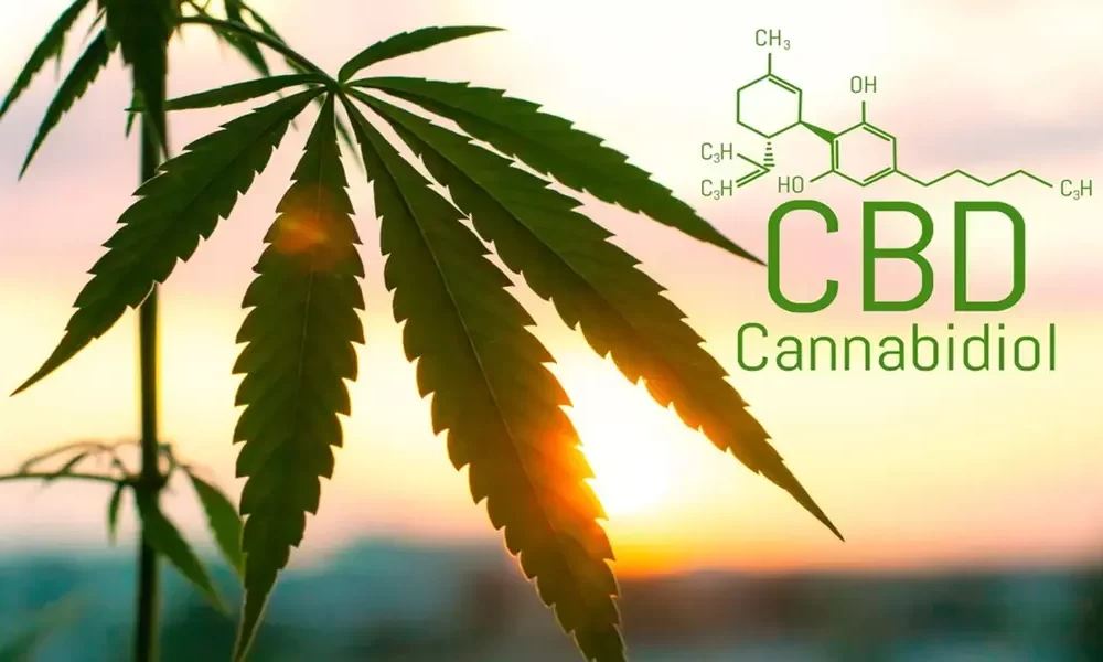 A Quick Guide To CBD: Benefits, Legality, Usage and Dosage