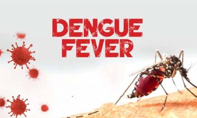 Thailand Issues Dengue Fever Warning as Cases Top 16,000