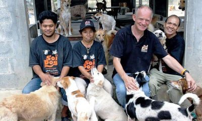 the Soi Dog Foundation