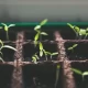 6 Technological Innovations for Gardeners