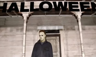 How should I Watch The 'Halloween' Movies?