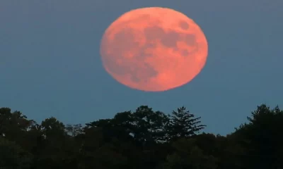 A 'Hunter's Moon' Will Be Visible In Philly On Sunday