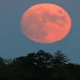 A 'Hunter's Moon' Will Be Visible In Philly On Sunday