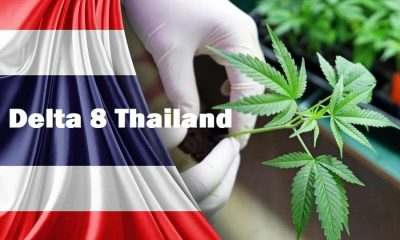 5 Reasons Why Delta 8 Products are Popular in Thailand