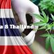 5 Reasons Why Delta 8 Products are Popular in Thailand