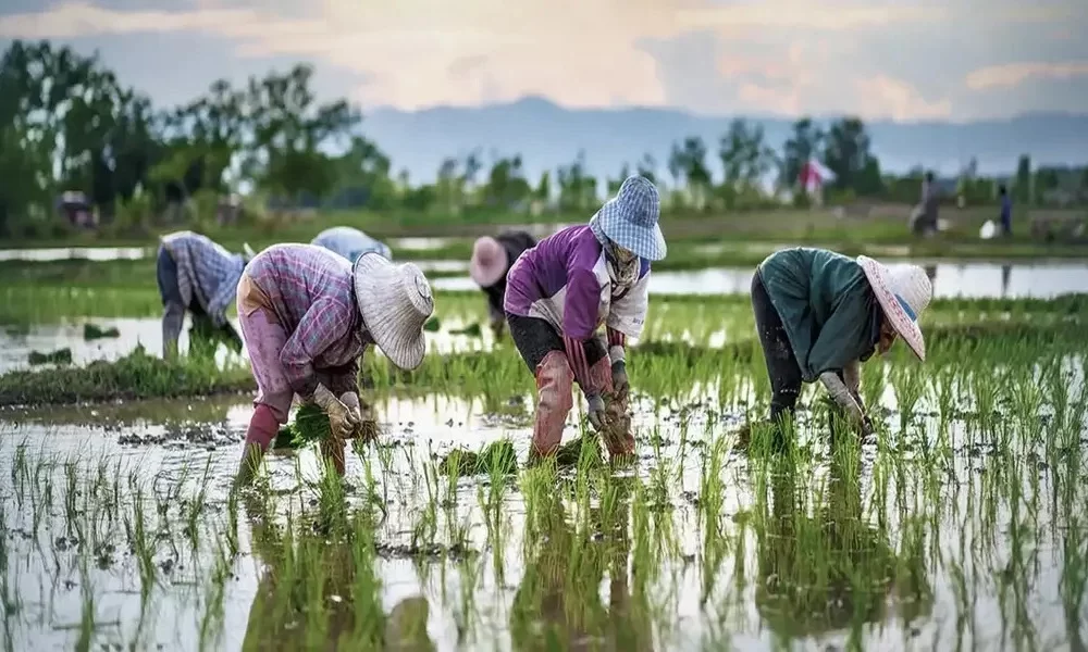 Thailand has the Highest Income Inequality in East Asia