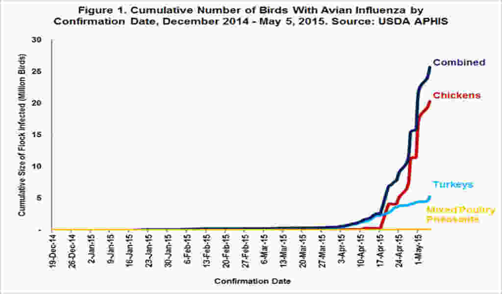 Avian Flu Outbreak Kills 50.54 Million Birds In The US Setting A New Record 