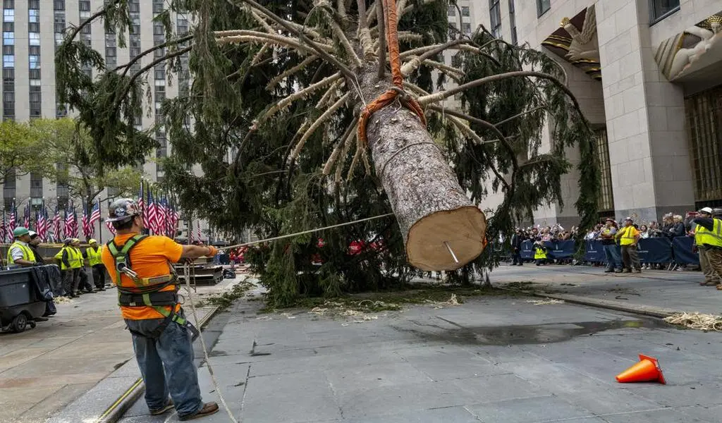 Holiday Arrival: Christmas Begins With The Rockefeller Tree