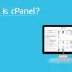 Do You Need cPanel Hosting For Your Website?