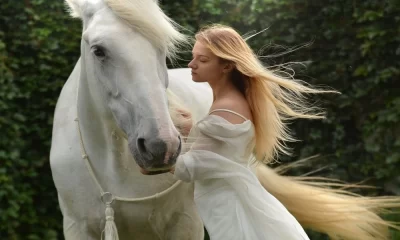 Learning to Photograph Horses Beautifully