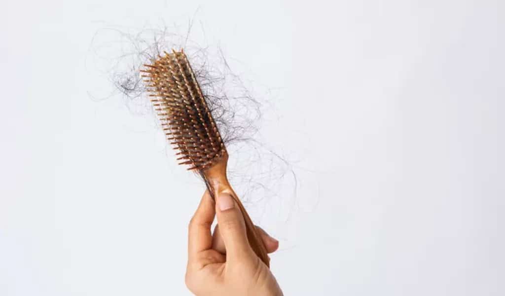 How Much Hair Loss Should You Normally have In A Day?