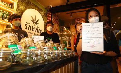 weed thailand