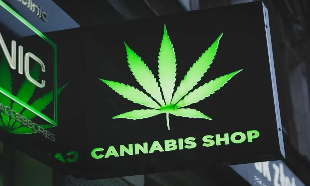 Where to Buy Cannabis in Pattaya