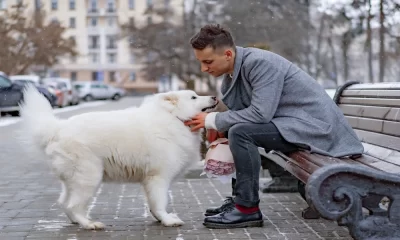 Is Your Dog Ready For This Winter?