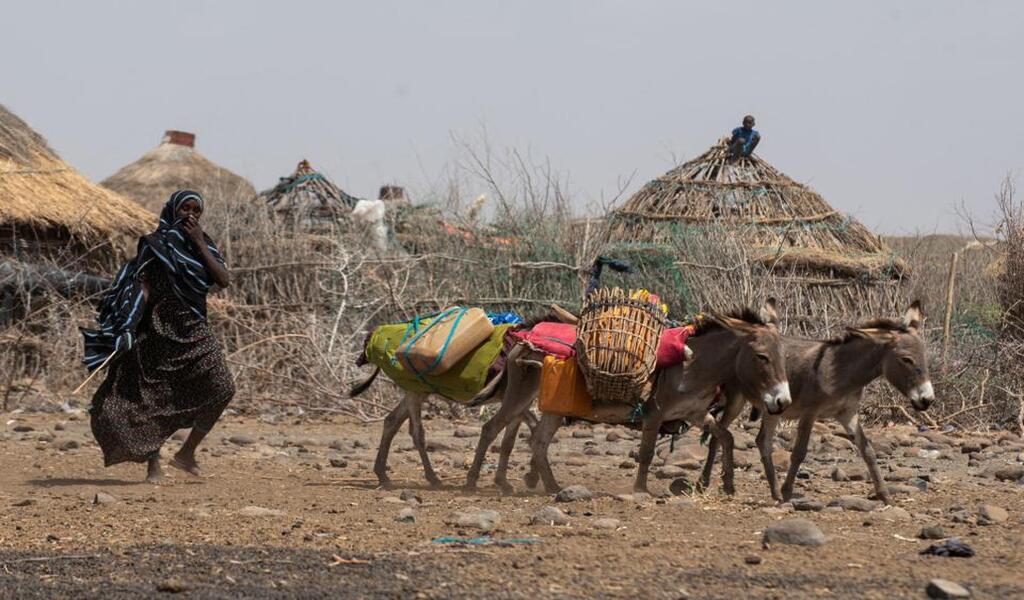 UN Issues Record Emergency Funding Appeal Of $51.5 Bln For Next Year