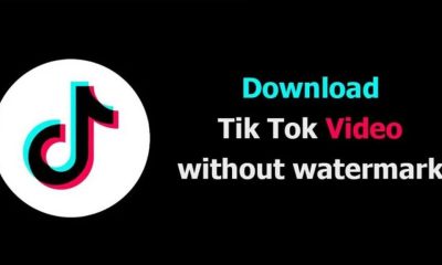 TikTok Video Downloader