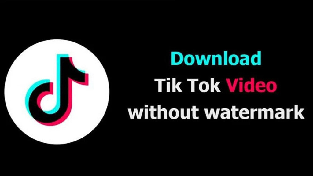 TikTok Video Downloader