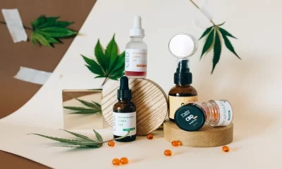 CBD As A Wellness Supplement: Know Everything About It