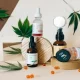 CBD As A Wellness Supplement: Know Everything About It