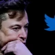 Tesla CEO Elon Musk Claims Twitter's 'Error' Prompted Perkins Coie's Hiring