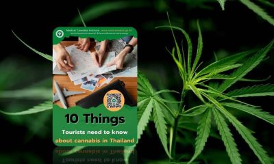 Thailand Issues 10 Step Guide on Cannabis to Tourists