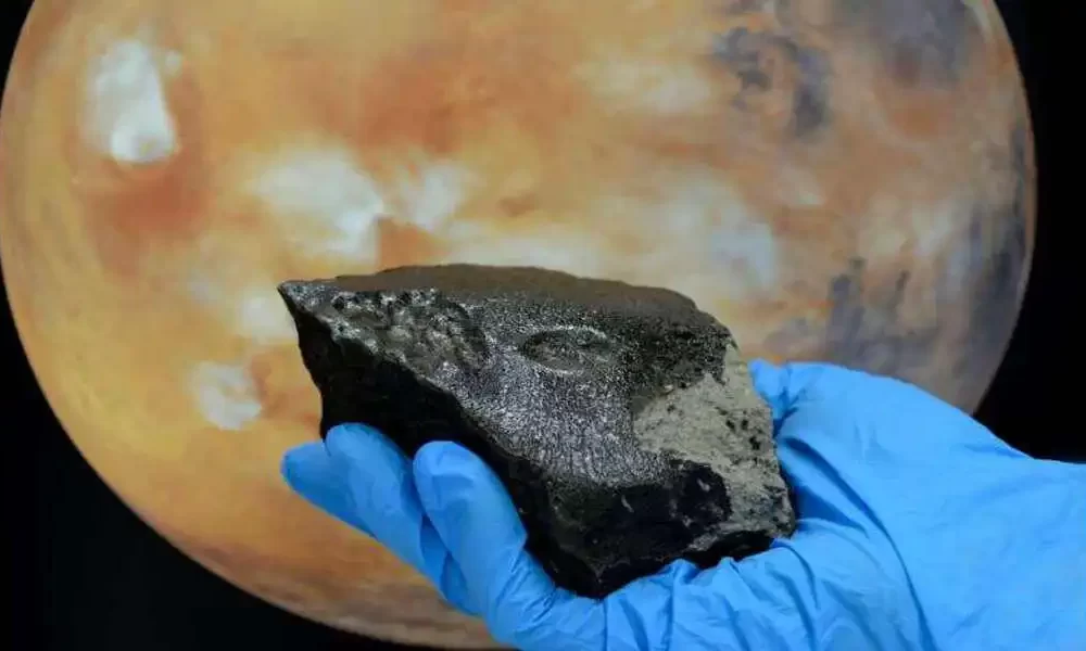 The Martian Meteorite Contains a Lot Of Organic Stuff