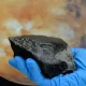 The Martian Meteorite Contains a Lot Of Organic Stuff