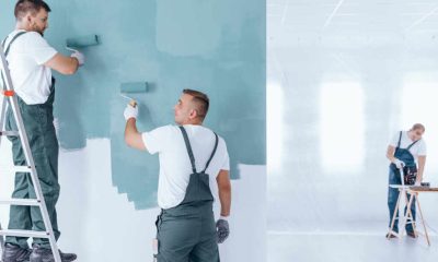 Professional Painting Contractors