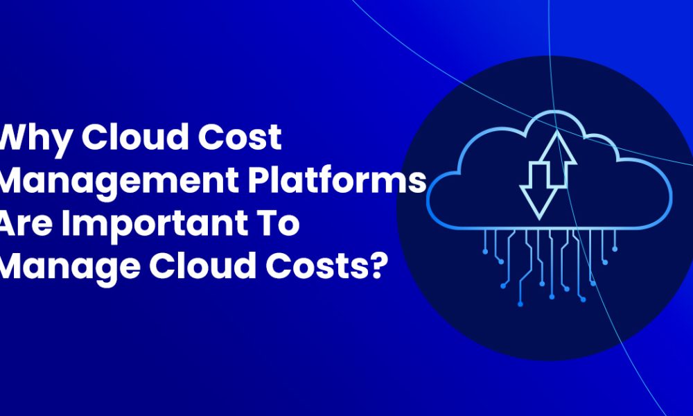 Cloud Cost Management Platforms