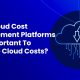 Cloud Cost Management Platforms