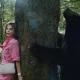 Cocaine Bear
