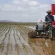 North Korea